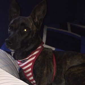 Meet your Posher, Corie